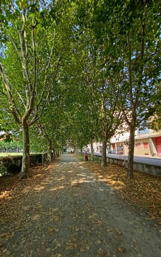 Casa Caty Lägenhet Pinerolo Exteriör bild